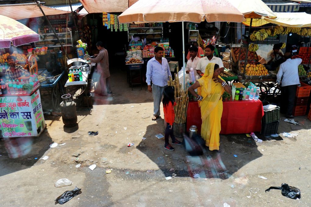 Sur la route entre Delhi et Mandawa, Rajasthan (Inde)