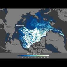 La glace la plus solide de l'Arctique s'est brisée