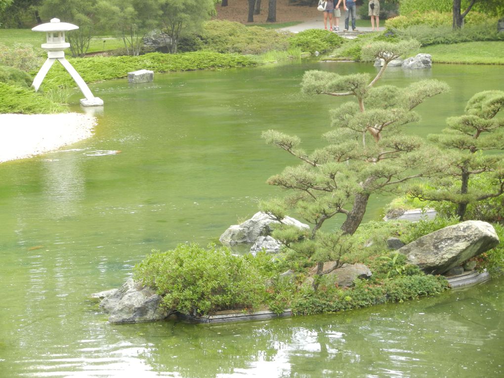 Album - jardin-botanique