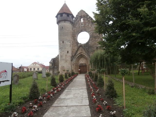 En allant toujours sous la pluie vers le lac et la cascade Balea dans les monts du Fagaras qui culminent a 2500m, visite de l abbaye cistercienne de Carta, du XIII, son cimetière de soldat allemands tués pendant la guerre 14-18 et la liste des déportés  de la seconde. Après la cigogne et la R12 bleue, petite ville Agnita où l on fait une escale technique en dégustant une "forelle" de rivière avec un vin blanc naturel délicieux ; beaucoup de restaurants "fabriquent" leur  vin , il se vend au litre , est servi en cruche et semble venir directement du fut. Il ne fait pas du tout mal à la tête. ....