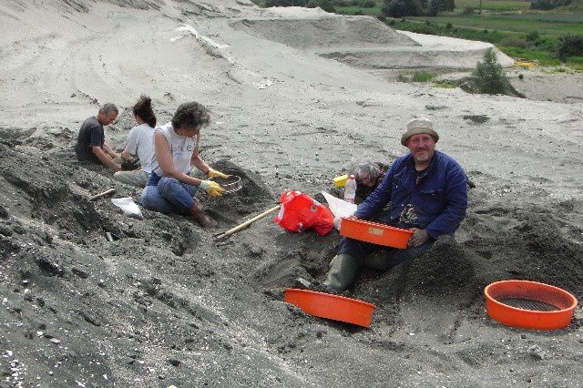 <p>
Les principaux sites de fouilles.
</p>
<p>
Cet album vous donnera une idée de quelques-uns des gisements de fossiles ou minéraux visités.
</p>
<p>
Vous y retrouverez également le pays et l’étage stratigraphique principal.
</p>
<p>
Excellente visite !
</p>
<p>
Phil « Fossil »
</p>
