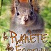 Neuf Noisettes et Demie, tome 2 : La Planète des Écureuils - Kate Lowell