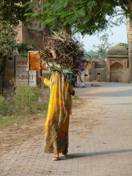 Album - Inde-Orchha