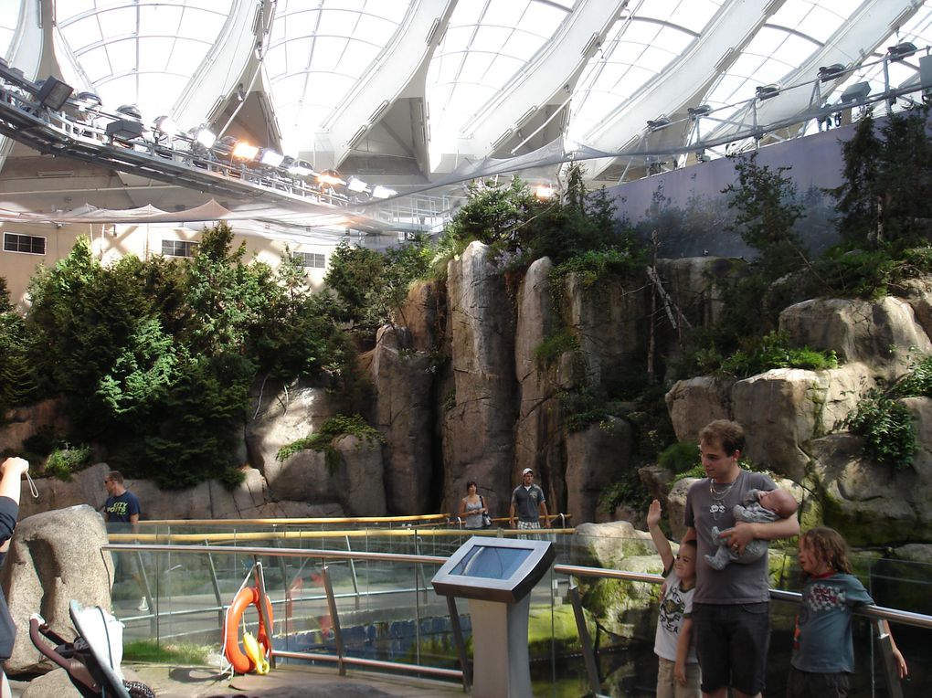 Album - jardin-botanique-et-biodome