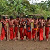 Brasil: autoridades investigan asesinato de líder indígena en la Amazonía