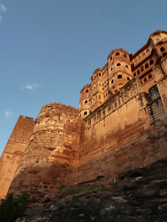 Album - Inde-Jodhpur