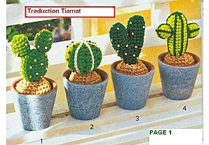 N° 190 - Cactus au crochet