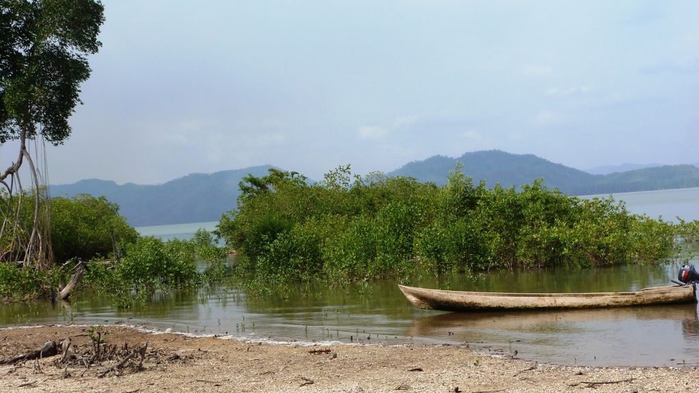 Album - Panama-dans-la-jungle-du-Darien