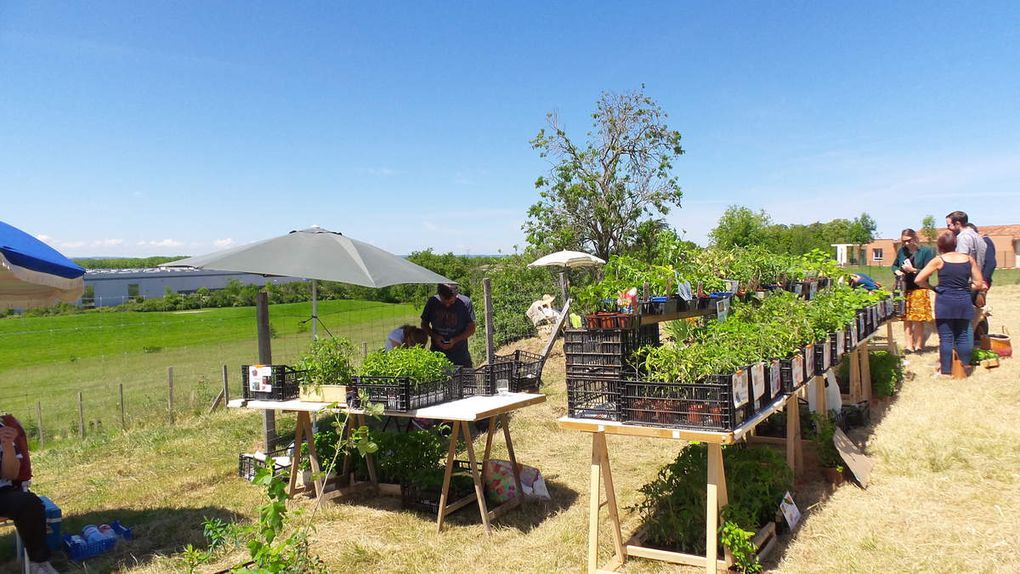 CASTELNAU D'ESTRETEFONDS - REPORTAGE EN IMAGES DU SALON AUTOUR DU JARDIN SUR LE SITE DE L'ESPACE FONDADA