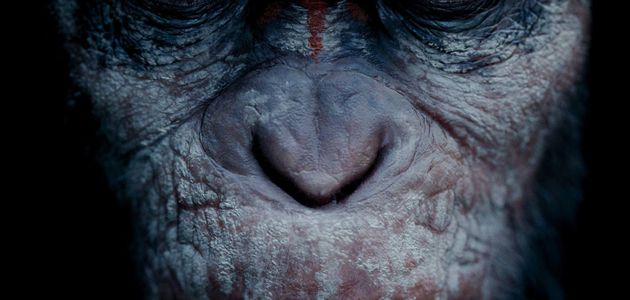 "LA PLANETE DES SINGES : L'AFFRONTEMENT", BANDE-ANNONCE !