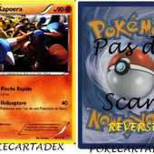 SERIE/XY/POINGS FURIEUX/41-50/49/111 - pokecartadex.over-blog.com