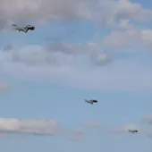 Le système Cohesion de Thales fait voler des drones en un essaim autonome