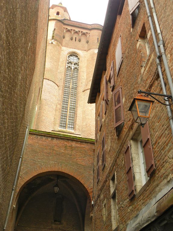 Album - Albi