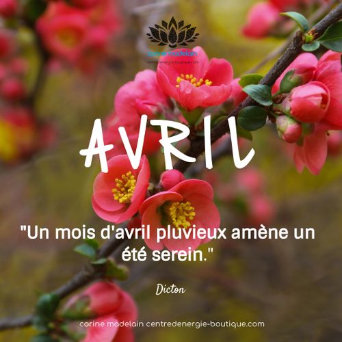 Citations Corine Madelain