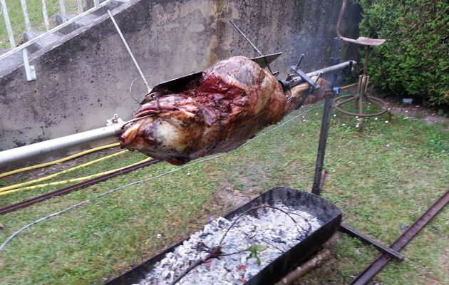 Acheter un cochon de lait