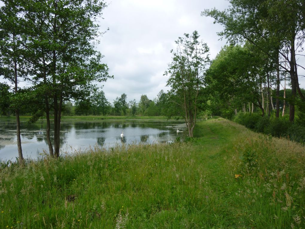 la peche , les étangs du nord pas de calais les canaux