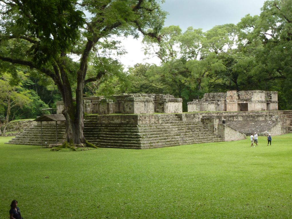 Album - Copan