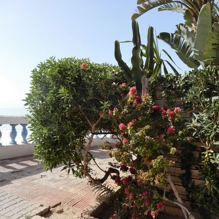 Sidi Ifni (Maroc en camping-car)