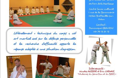 Reprise Taï Jitsu 2012 / 2013