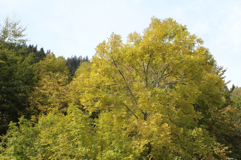 Album - Champagny automne