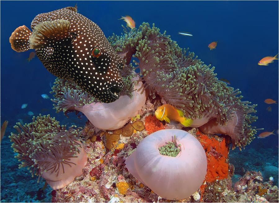 la beauté et la beauté entre terre  mer et ciel une beauté divine!!!!!!