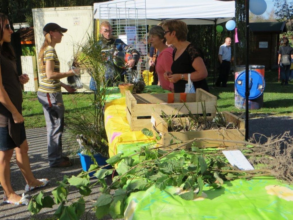 Troc aux plantes à Ligny (avec photos)