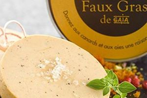 Sir Mac Cartney et Sir Roger Moore  raliés au foie gras 100% végétal. Et nous ? Une lettre a été envoyée à François Hollande précisant que les canards (et les oies) le plébiscitaient eux aussi à 100% ! - 