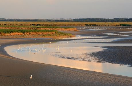 L'ensablement de la Baie de Somme