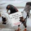 Les "pigeons" : premier événement de démocratie citoyenne
