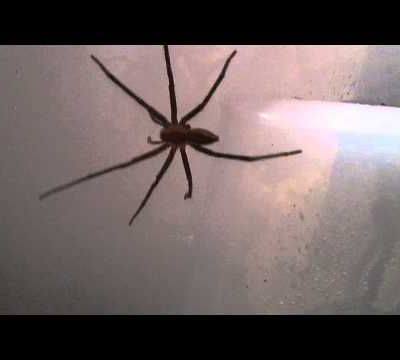 Cryptographie et massage dorsal