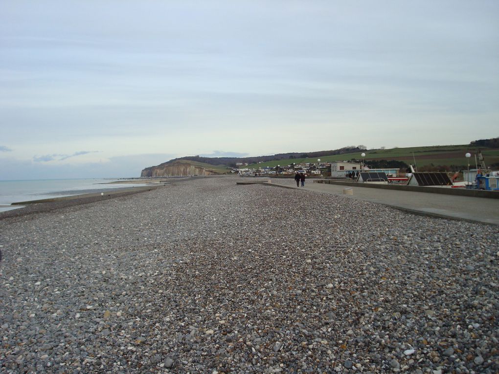 La Côte entre Le havre et Dieppe ...