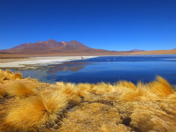 BOLIVIE #2 (13 août - 22 août 2014)