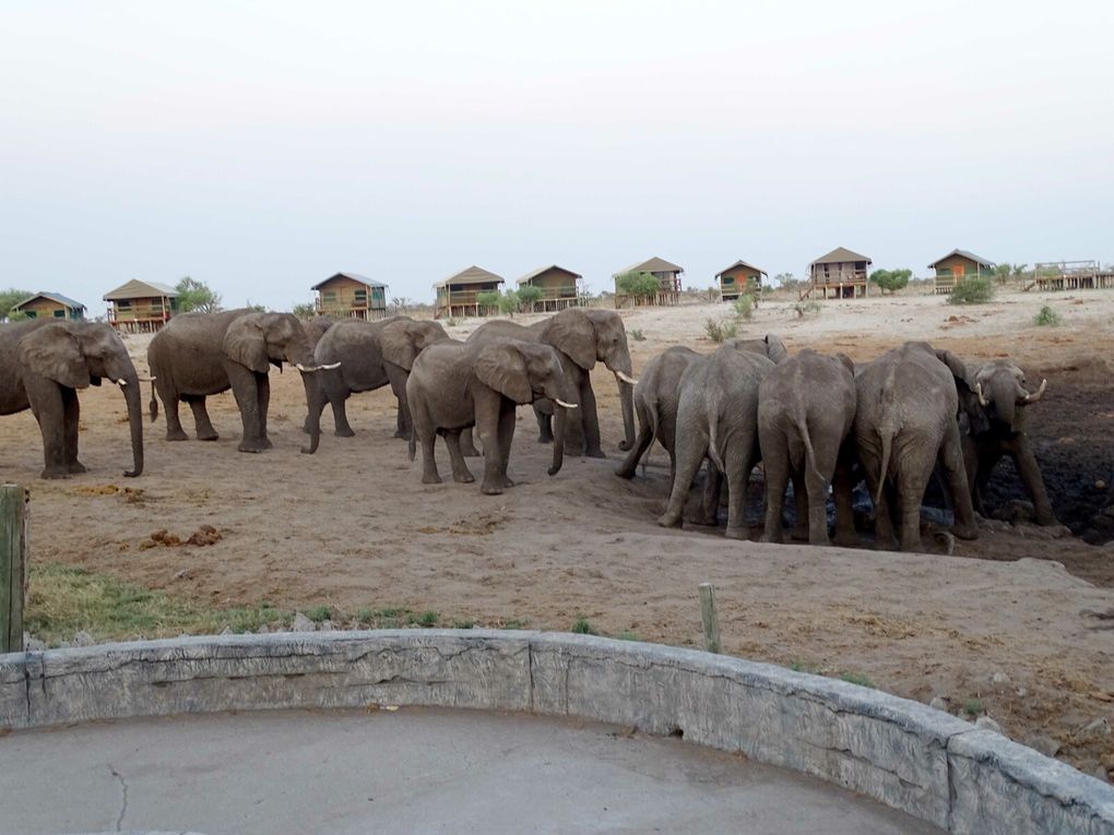 Park Mapungubwe, Botswana