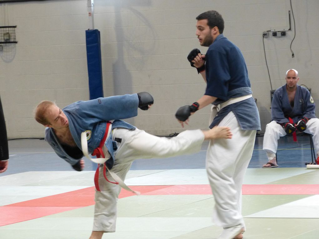 1ere partie des photos de la compétition de Nihon Budo du 10 mai 2015 au gymnase des droits de l'Homme à Guyancourt.