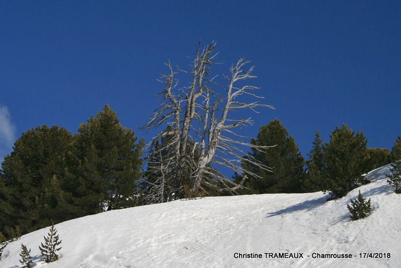 BELLEDONNE - CHAMROUSSE 