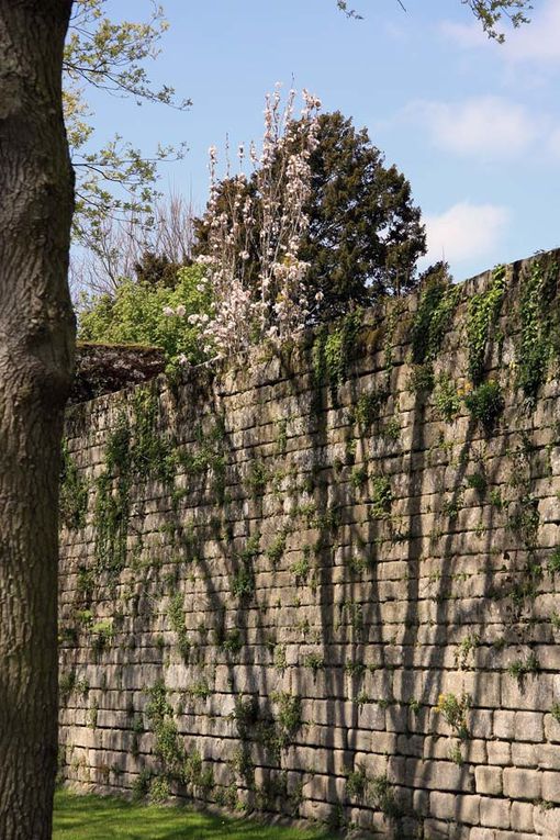 Les remparts de la ville de Guérande au printemps