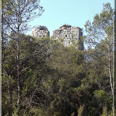 Diaporama château de BROUZET LÈS QUISSAC