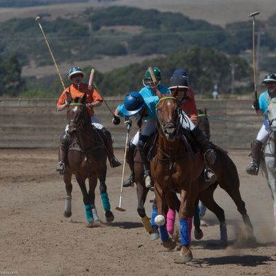 Les jeux à cheval : que peut-on organiser ?