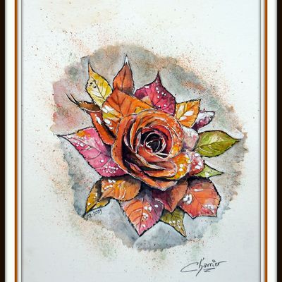 Rose-feuilles