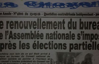 Le renouvellement du Bureau de l’Assemblée Nationale s’impose après les élections partielles en Centrafrique