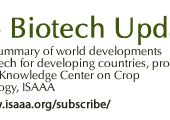 Researchers Identify Gene that Enables Wheat Resistance to Stem Rust- Crop Biotech Update ( 11/22/2017 ) | ISAAA.org/KC
