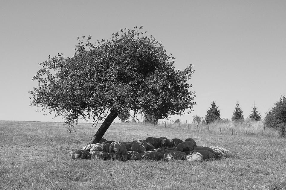 Antoine Paris est photographe et peintre.
Ici une sélection de photos d'Archon