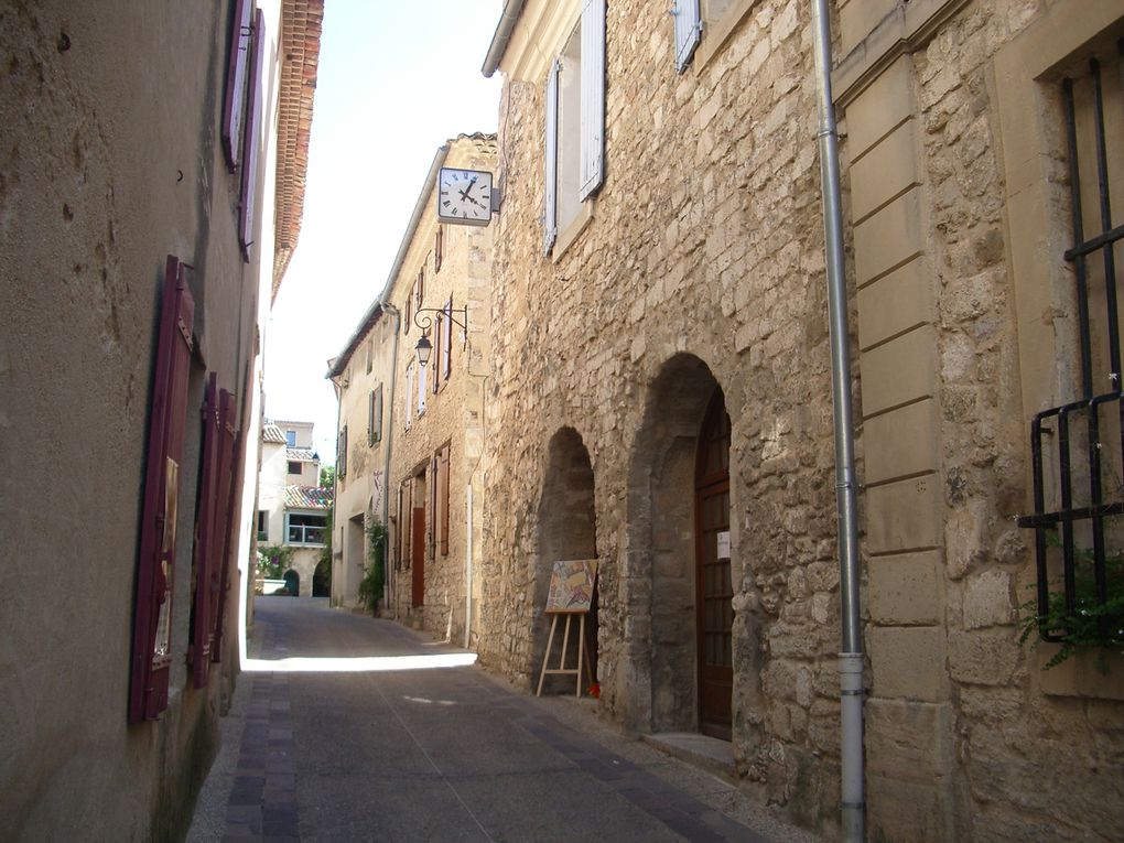 Entre cité des papes et comtat venaissin...les vignes, le soleil et la lavande !