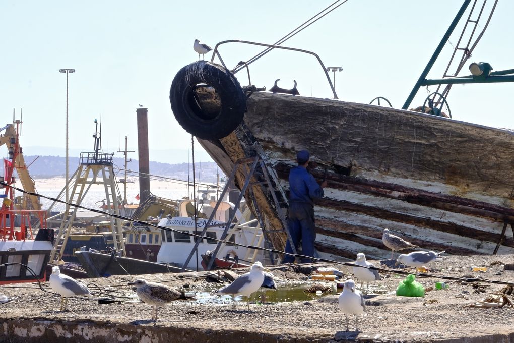 Les chalutiers ornent le port comme de gros mammouths....surs de leur force, discrets et ancrés, ils sont à l'instar des barques, réparés, bichonnés, bricolés encore et toujours, ils sont la puissance du port, son étendard et sa fierté...