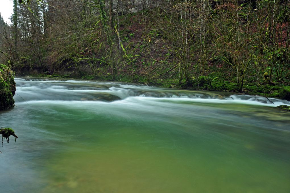 Quelques photos prises lors d'une petite balade le long du Dessoubre en Janvier 2013