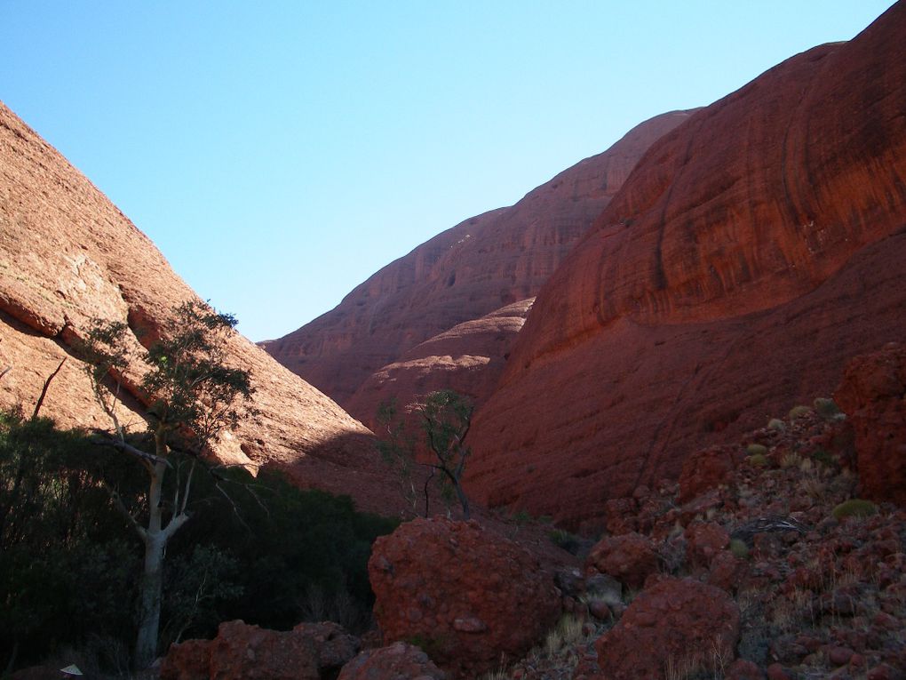 Album - The-Ultimate-Oz-Experience-2--Outback--The-Olgas---Ayers-Rock---Kings Canyon