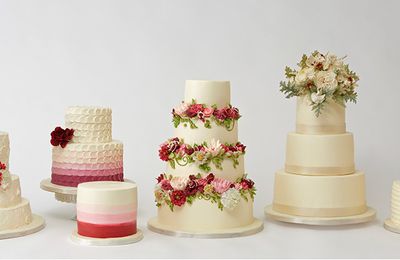  Gâteau de mariage d'hiver