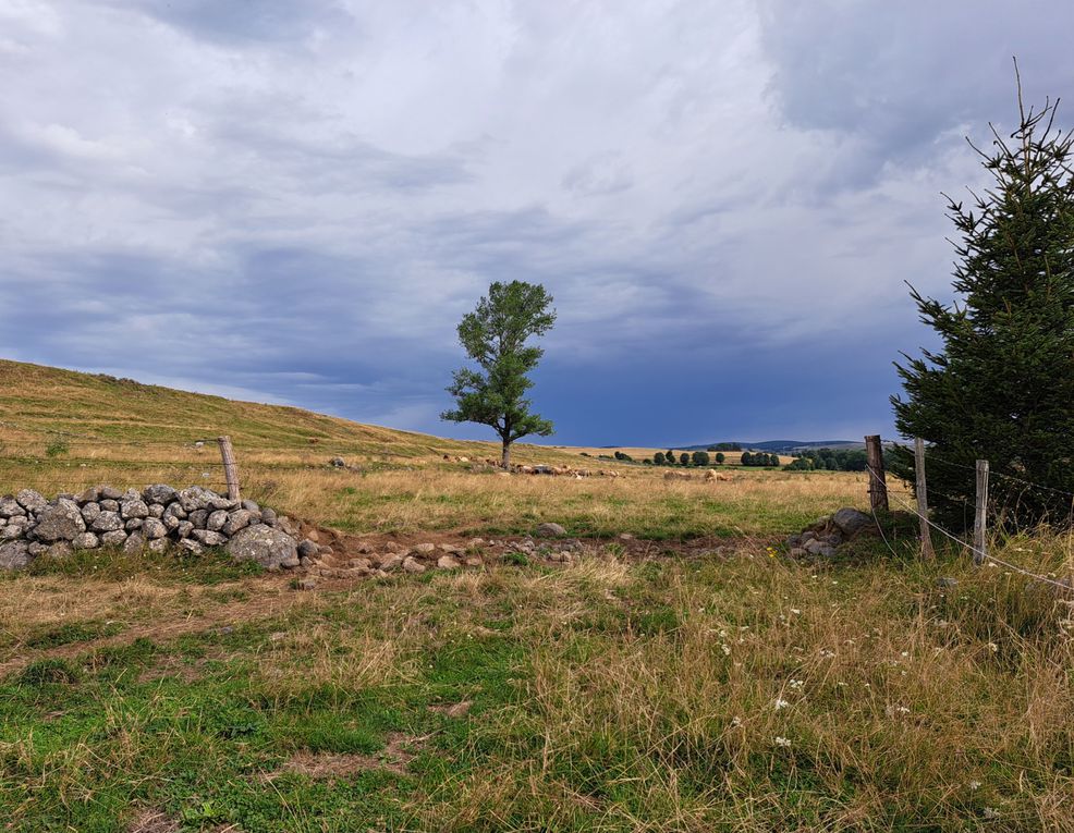 Saint-Urcize, l'Aubrac cantalien, une merveille !