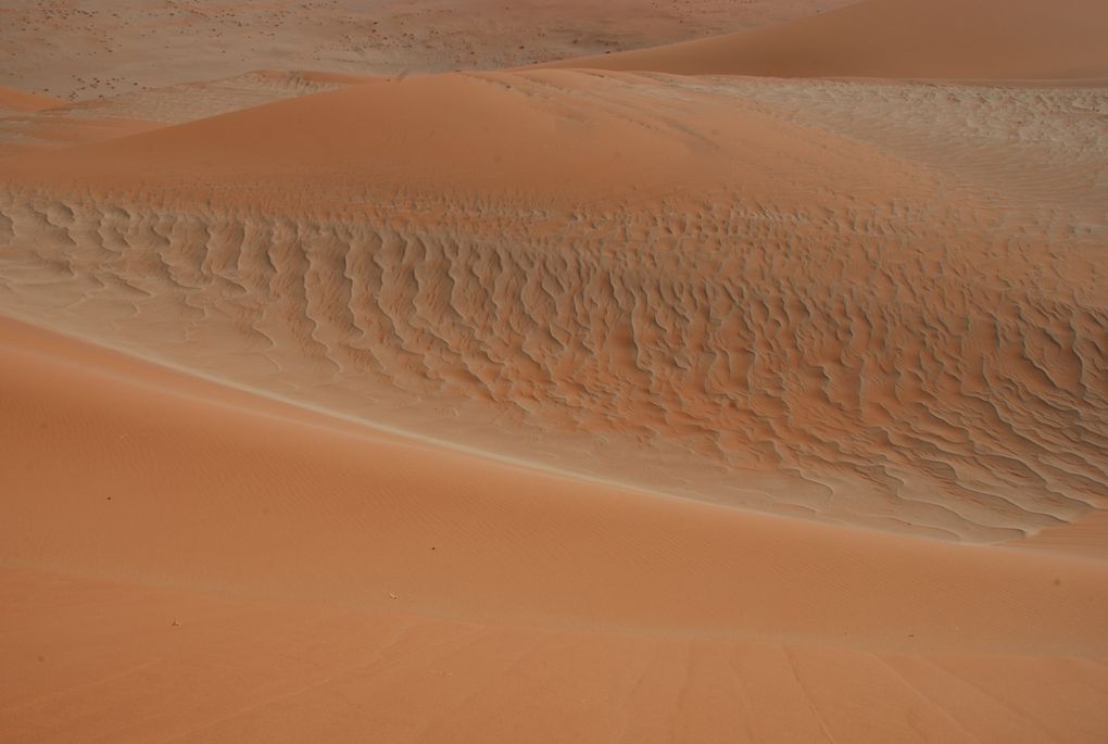 Album - Desert-du-Namib