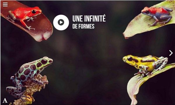 La tache de Darwin, voyage dans la diversité des formes animales